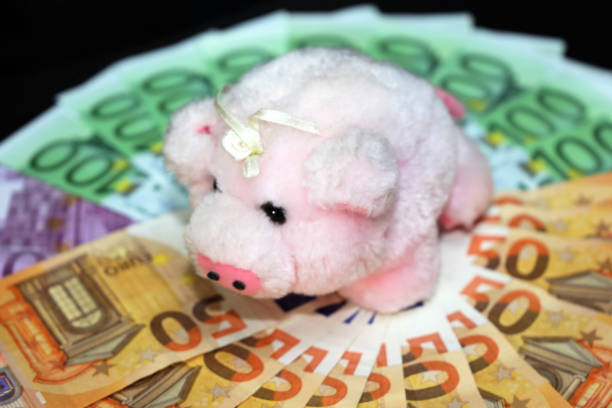 istock Euro bills (Euro banknotes) with a pig as a good luck symbol in Germany 902198888