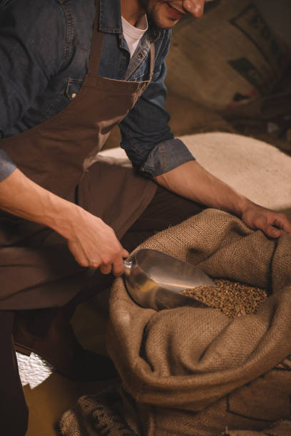 istock worker gathering coffee beans with scoop from sack bag 902198940