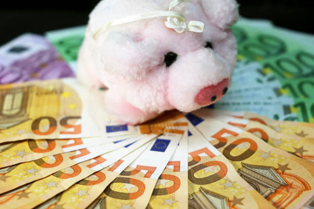 istock Euro bills (Euro banknotes) with a pig as a good luck symbol in Germany 902198986