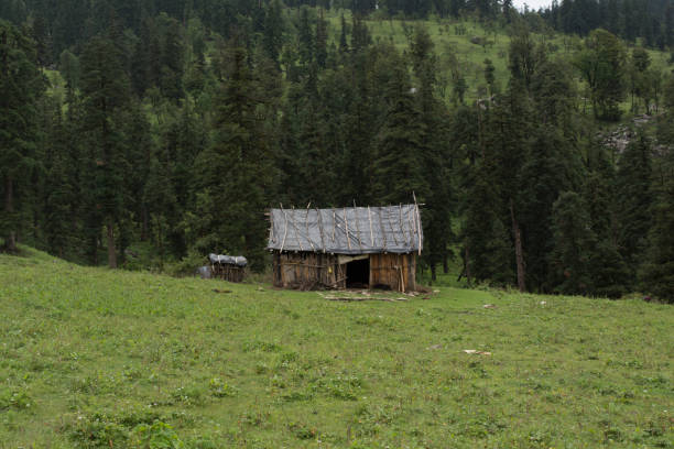 山の森林を小屋します。 - mountain himalayas india cabin ストックフォトと画像