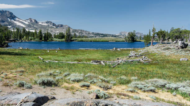 istock View of Frog Lake at mid-day 902212706
