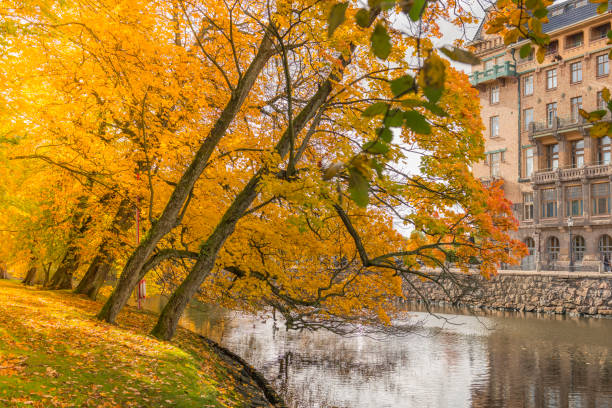 Canal in city of Gothenburg. Swedish park in autumn colors.