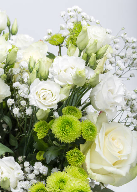 istock Close up of white roses 902217202