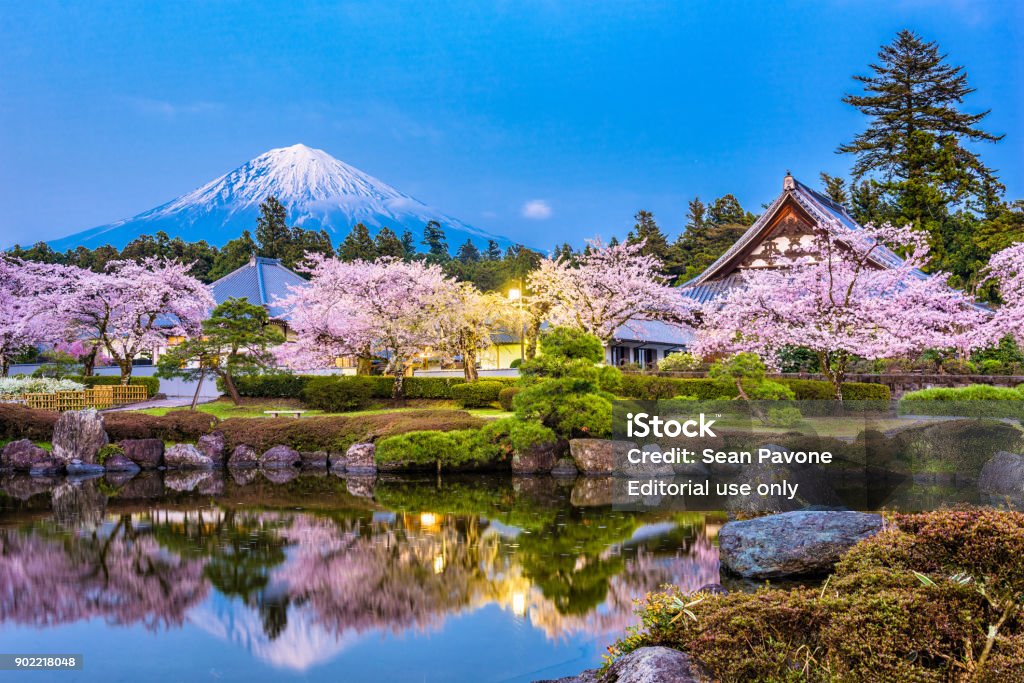 ชิซูโอกะ ญี่ปุ่นในฤดูใบไม้ผลิ ภาพสต็อก - ดาวน์โหลดรูปภาพตอนนี้ - ซากูระ -  ดอก, ประเทศญี่ปุ่น, ภูเขาฟุจิ - Istock