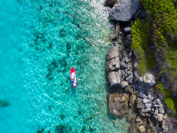 istock Aerial view of woman on paddleboard 902221008
