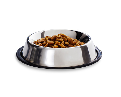 A serving of dry complete dog biscuits in a shiny metal dog bowl with rubber stand