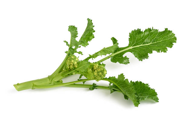 istock turnip tops plant 902228482