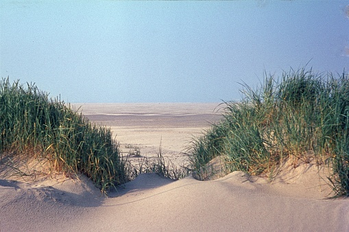 Denmark, 1980. Dune by the sea.