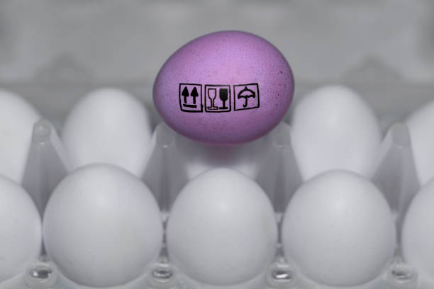istock Labeling on a lilac chicken egg. Fragile or brittle cargo. 902245270