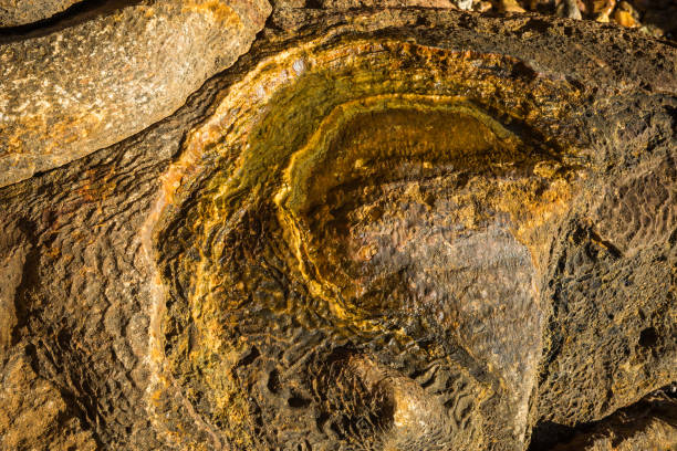 istock Beautiful rock formations on the beach of Loutra Edipsou, Greece 902247782