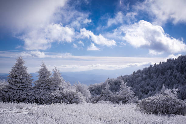 Blue skies over the Appalachian Trail in the winter stock photo
