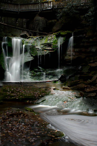 istock Elakala Falls on the Elakala Trail 902254698