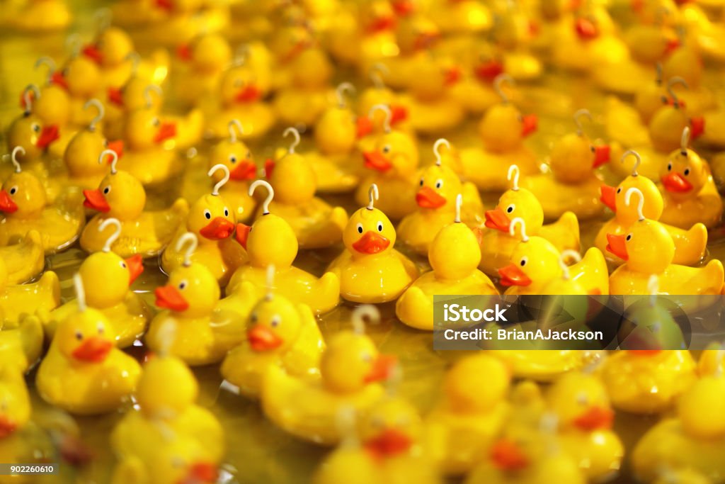 Fairground hook a rubber duck chance game Fairground hook a rubber duck chance game concept fo risk and luck Traveling Carnival Stock Photo