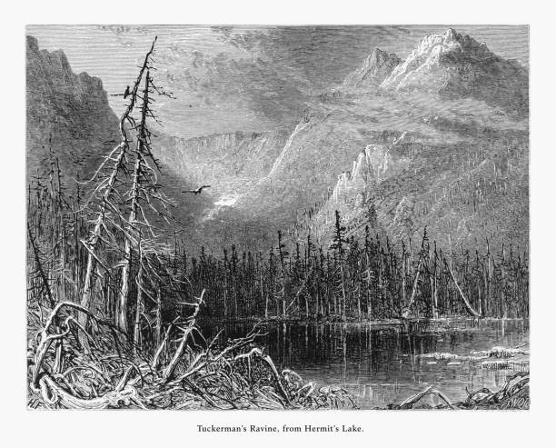 illustrations, cliparts, dessins animés et icônes de ravine de tuckerman de l’ermite lac, montagnes blanches, new hampshire, aux états-unis, américain victorienne gravure, 1872 - tuckerman