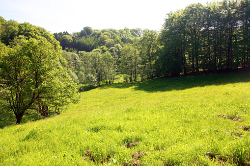 Meadow landscape in the Bergisches-land near Hückeswagen