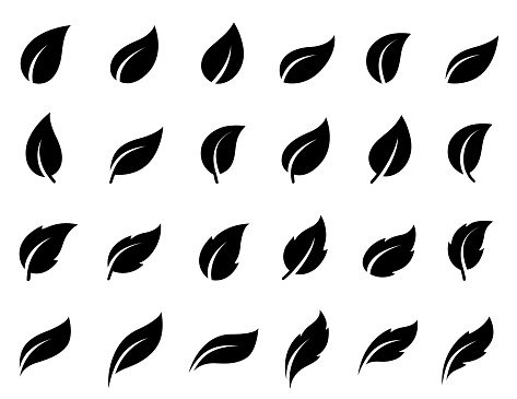 set of black isolated leaves icons on white background