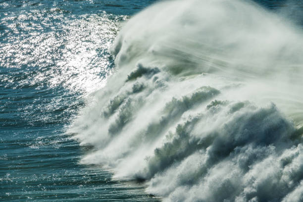 istock Sea wave tails in windy day 902272692