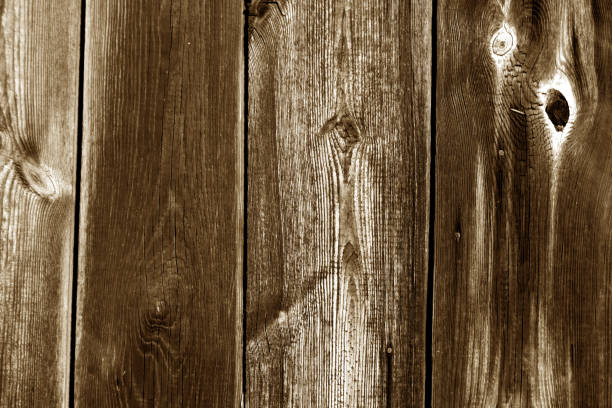 istock Wood fence texture in brown color. 902287186