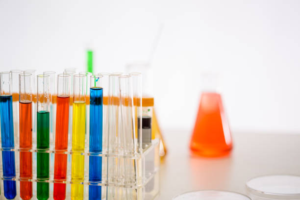 istock Colorful test tubes in holder 902287952