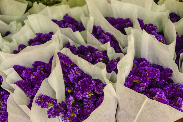 flores roxas statice à venda no mercado de flores, banguecoque, tailândia. - limonium - fotografias e filmes do acervo