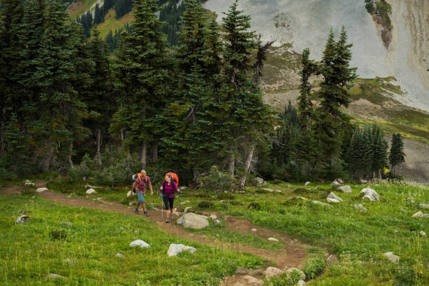 istock Couple on a hike in the mountains 902296982