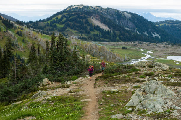istock Couple on a hike in the mountains 902296998