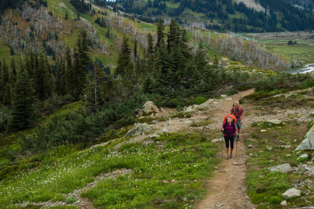istock Couple on a hike in the mountains 902297142