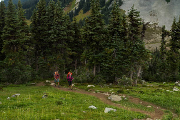 istock Couple on a hike in the mountains 902297208
