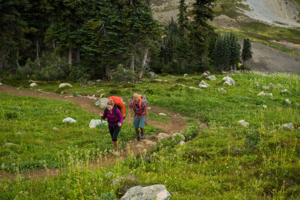 istock Couple on a hike in the mountains 902297372