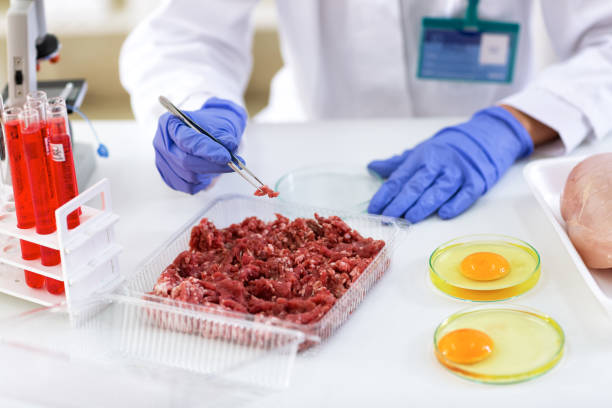 istock Food quality control expert inspecting meat 902300166