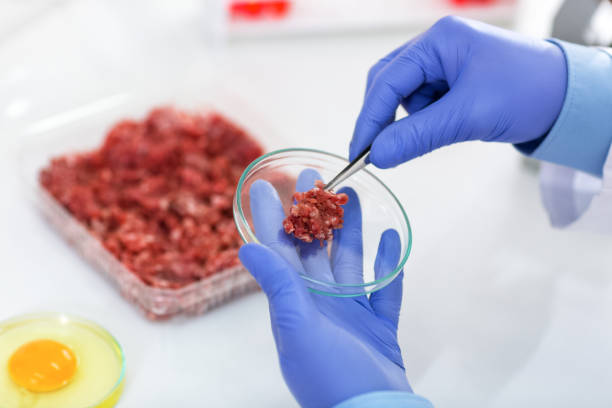 istock Taking sample of meat to test at laboratory 902303368