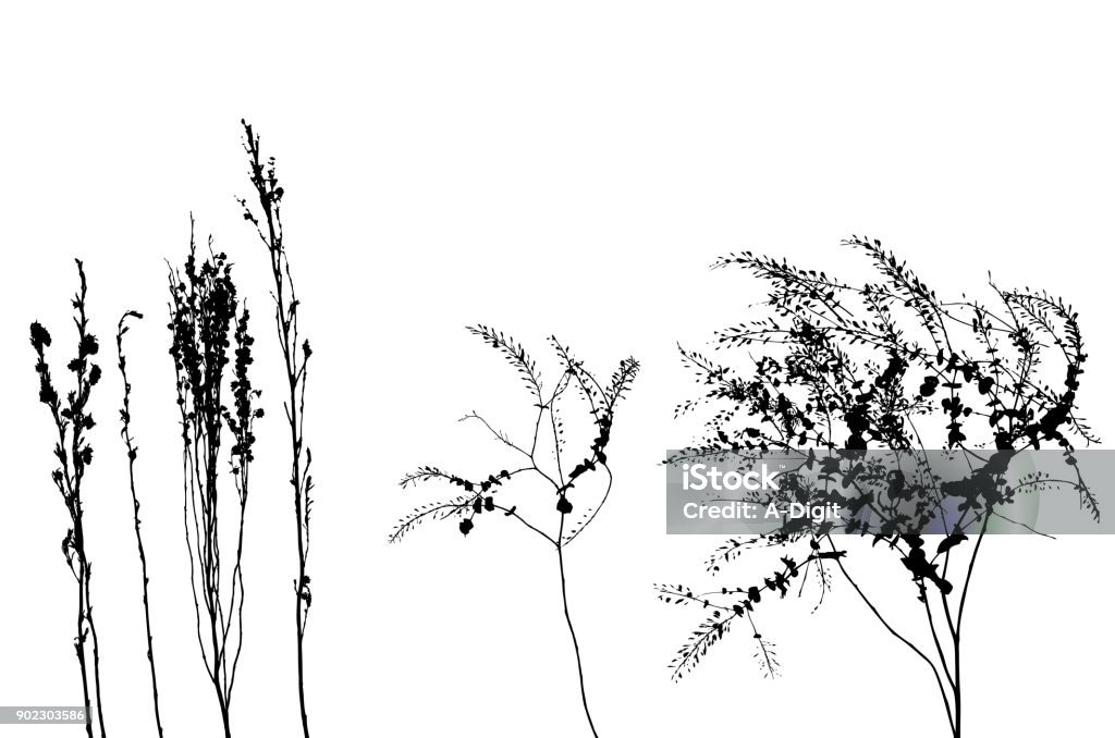 Mountain Weeds Dry weeds in silhouettes In Silhouette stock vector