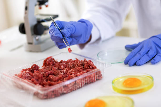 istock Scientist taking sample of meat to making test quality, food quality control expert inspecting meat 902303922