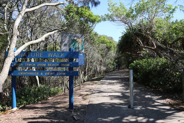 istock Nature walk at Sunshine Coast, Queensland Australia 902312956
