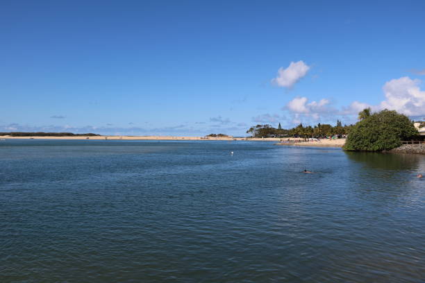 istock Sunshine Coast in Queensland, Australia 902313672