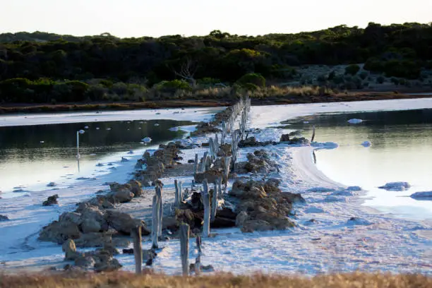 Visited the Salt-an of Catan Creek in South Australia to see his fauna parks.