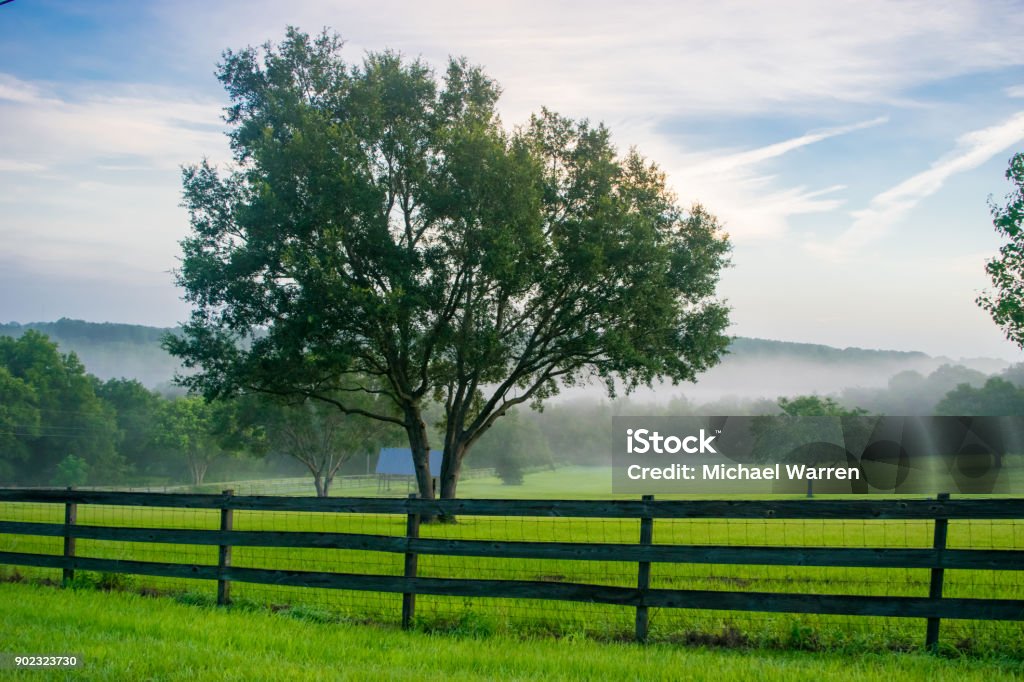 Kulturlandschaft in Zentral-Florida - Lizenzfrei Florida - USA Stock-Foto