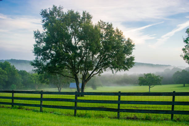 istock Rural Landscape in Central Florida 902323730