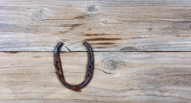 istock Lucky rusty horseshoe for St Patick holiday on wooden background 902329558