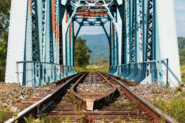 숲에서 오래 된 철도 교량 - rollercoaster wood railroad track nobody 뉴스 사진 이미지