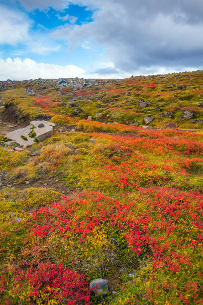 istock Beautiful nature landscape in autumn 902340898
