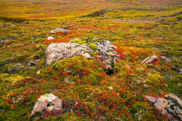 istock Beautiful nature landscape in autumn 902340924