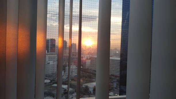 istock office with big window with view to city 902347688