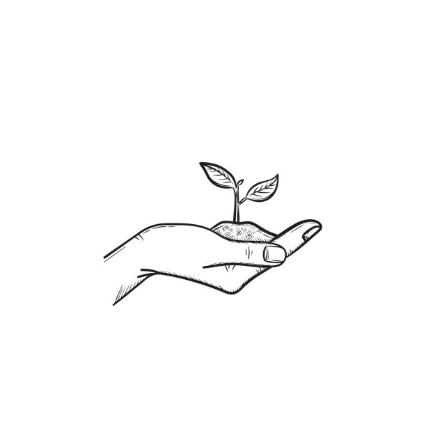 ilustrações de stock, clip art, desenhos animados e ícones de human hand with sprout hand drawn sketch icon - seed human hand tree growth
