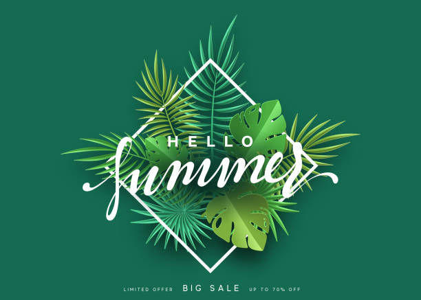istock Hello Summer banner tropical background. Summer season, design poster with green leaves. 902374790
