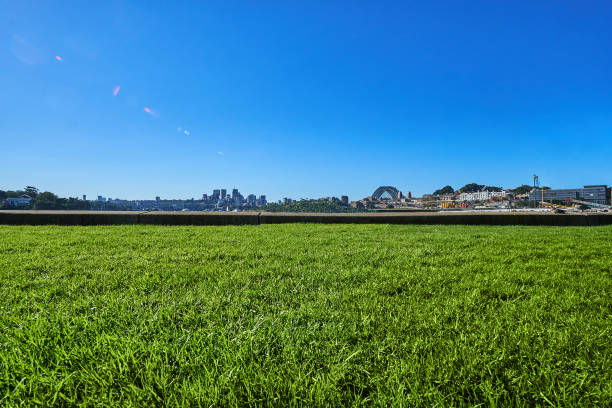 Beautiful city skyscraper with green grass foreground
