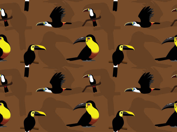 Toucan Ariel Cartoon Seamless Wallpaper Animal Wallpaper EPS10 File Format channel billed toucan stock illustrations