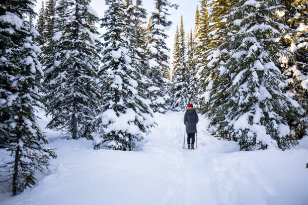 istock Hiking in winter mountain 902379112