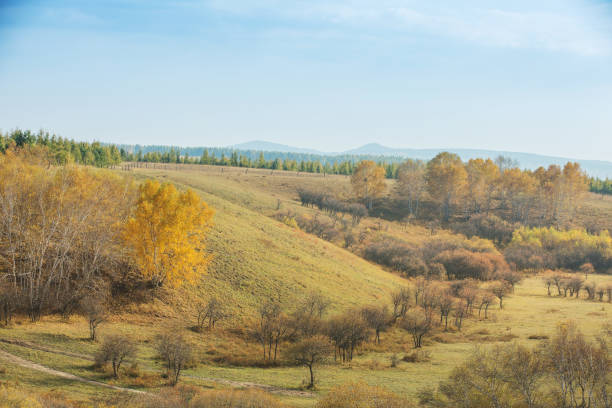 istock Prairie pasture in Damon China 902381272
