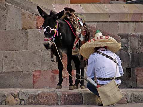 Man and his donkey dressed up for Mexican revolutionary fesivities in San Miguel de Allende, Guanajuato, Mexico